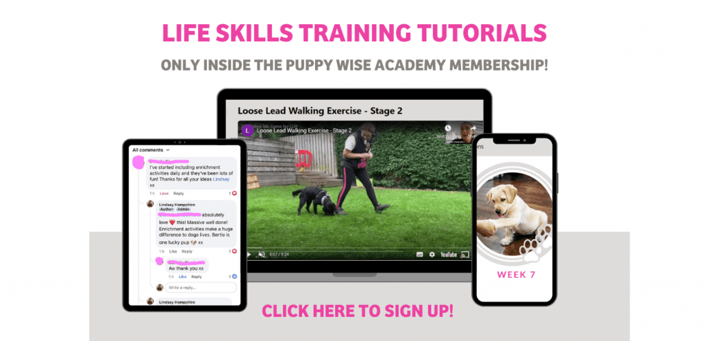 The Puppy Wise Academy pic for blogs