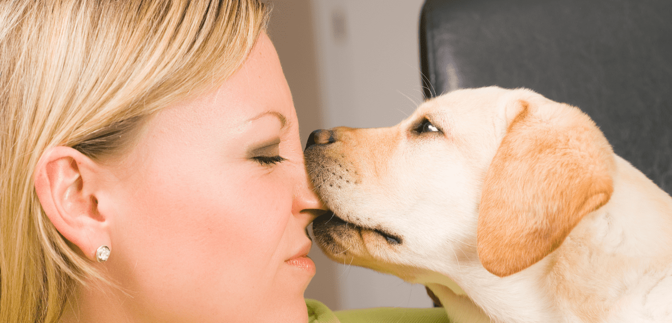 Puppy biting website 2