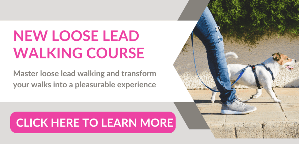 online loose lead training course