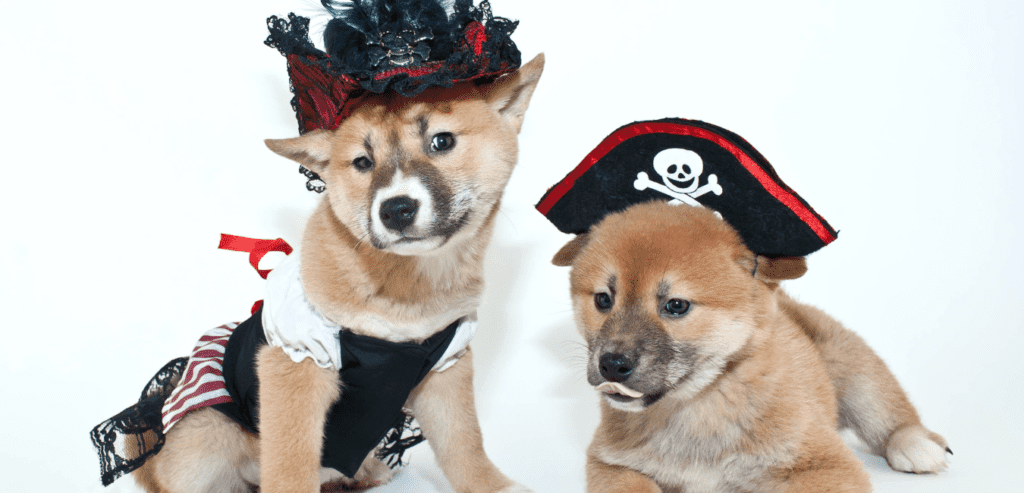 5 puppy tips for a wicked Halloween 2